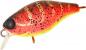 Preview: Illex Chubby 38 MR - Spicy Louisy Craw