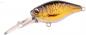 Preview: Ikiru Natural Mini Crank 38F LL - Carp