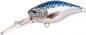 Preview: Ikiru Natural Mini Crank 38F LL - Mackerel