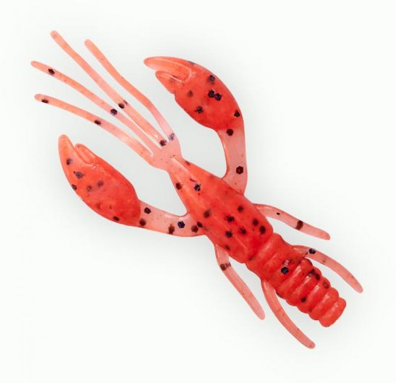 2.2" Fanatik Raider - Tomato Red | 023