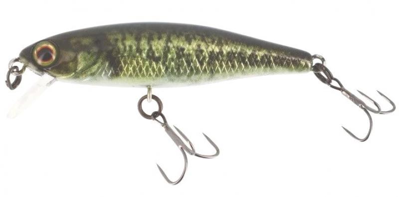 Illex Tiny Fry 50 SP - RT Biwako Bass